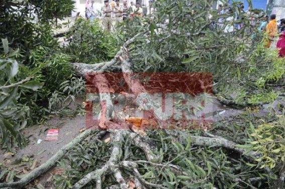 Four killed, property damaged in Tripura storm